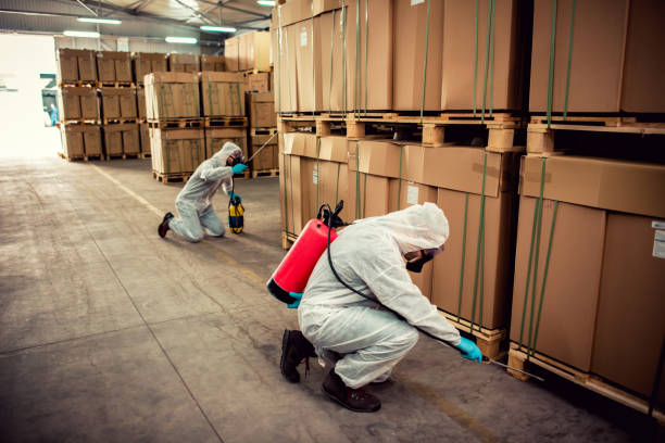 Best Rat Extermination Near Me  in Wofford Heights, CA