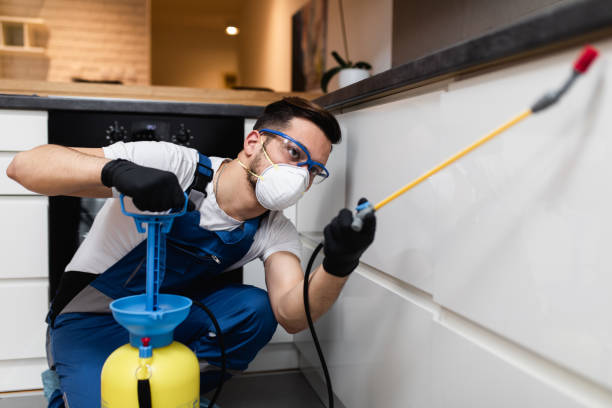 Pest Prevention Services in Wofford Heights, CA
