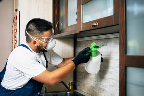 Best Local Pest Control Services  in Wofford Heights, CA