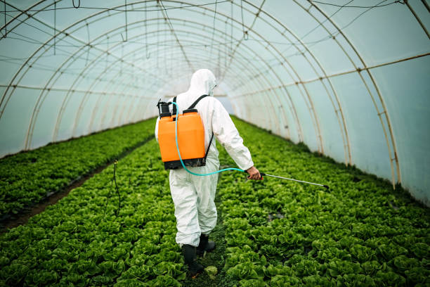Best Ant Control Services  in Wofford Heights, CA