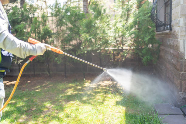 Best Mosquito Control Services  in Wofford Heights, CA