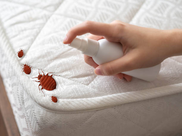 Best Commercial Pest Control Services  in Wofford Heights, CA