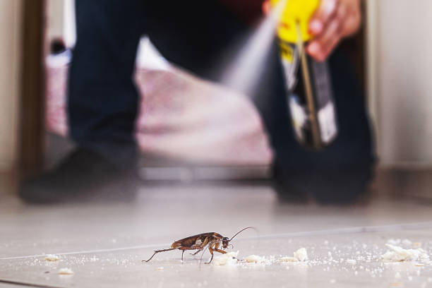 Best Wildlife Control Services  in Wofford Heights, CA